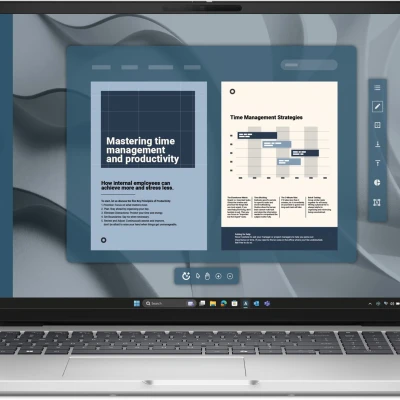 Ноутбук Dell Pro 16 16" FHD+ IPS AG (BTO108PC16250UA_UBU)