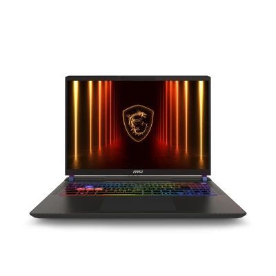Ноутбук MSI Vector 16 HX AI A2XWHG-224XUA 16" QHD+ (9S7-15M352-224)
