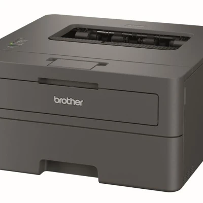 Принтер laser mono А4 Brother HL-L2402D 30 ppm Duplex USB (HLL2402DYJ1)